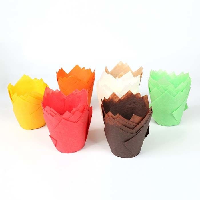 Colorful Tulip Paper Cups